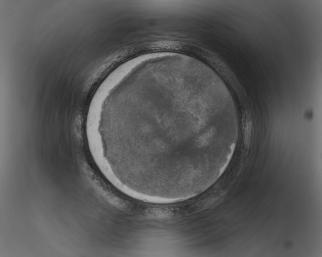 X0000115670729200912241419