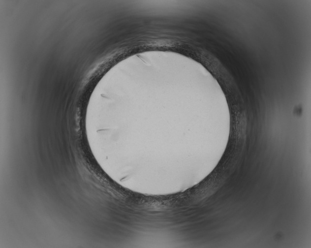 X0000115670731200912241419