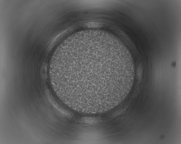 X0000115670733200912241419