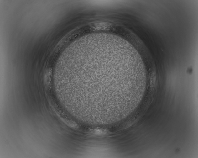 X0000115670737200912241419