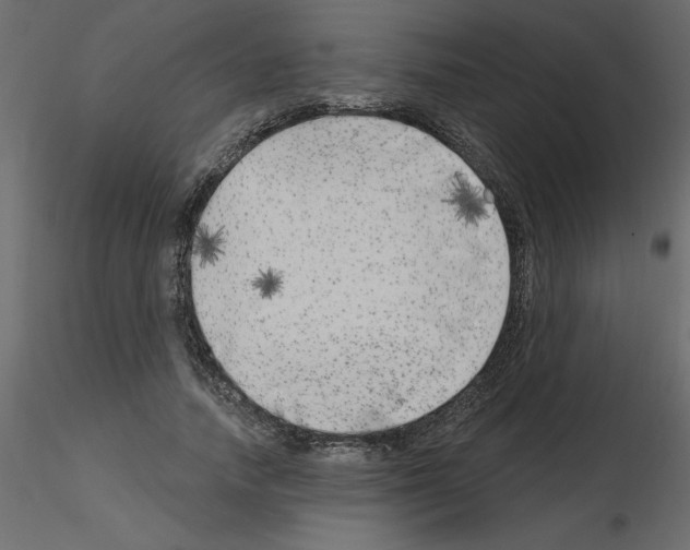 X0000115670738200912241419