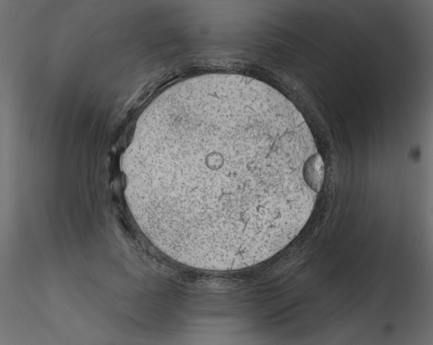 X0000115670739200912241419