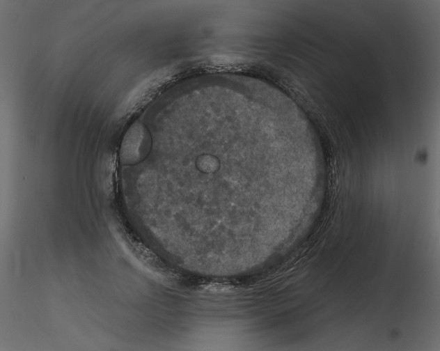 X0000115670742200912241419