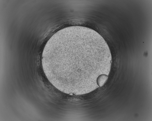 X0000115670743200912241419