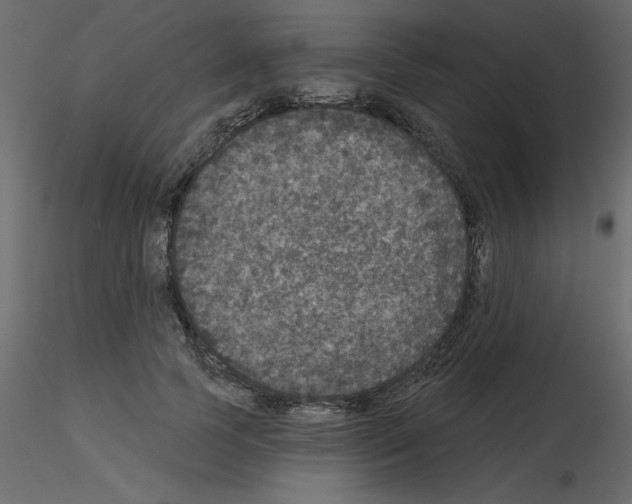 X0000115670745200912241419