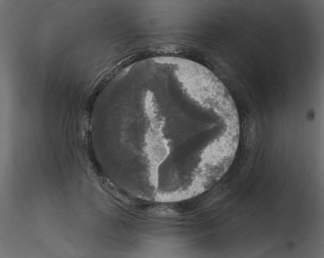 X0000115670747200912241419