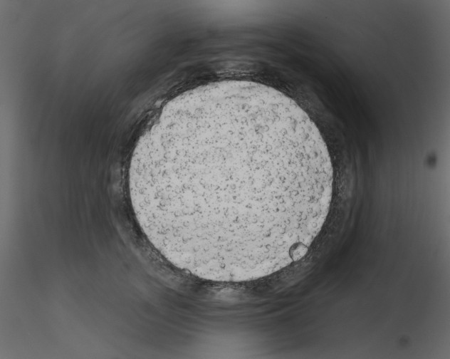 X0000115670755200912241419