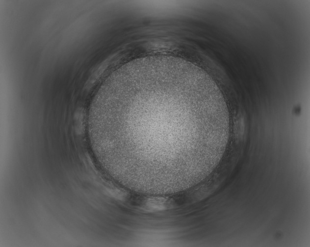 X0000115670757200912241419