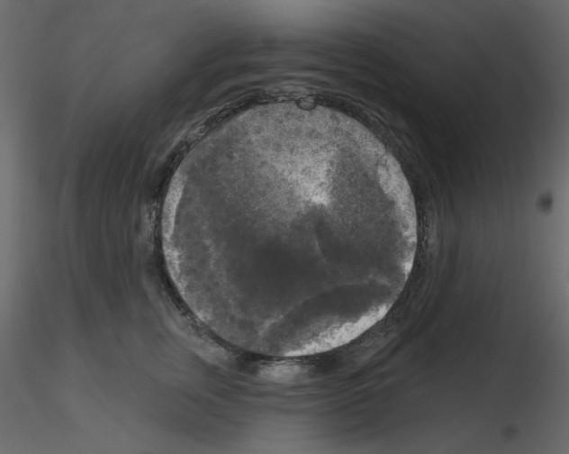 X0000115670759200912241419