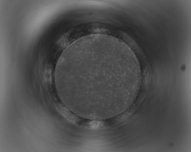 X0000115670762200912241419