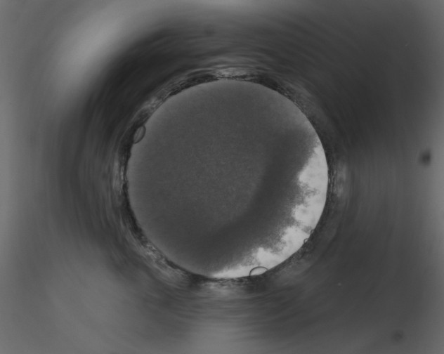 X0000115670763200912241419