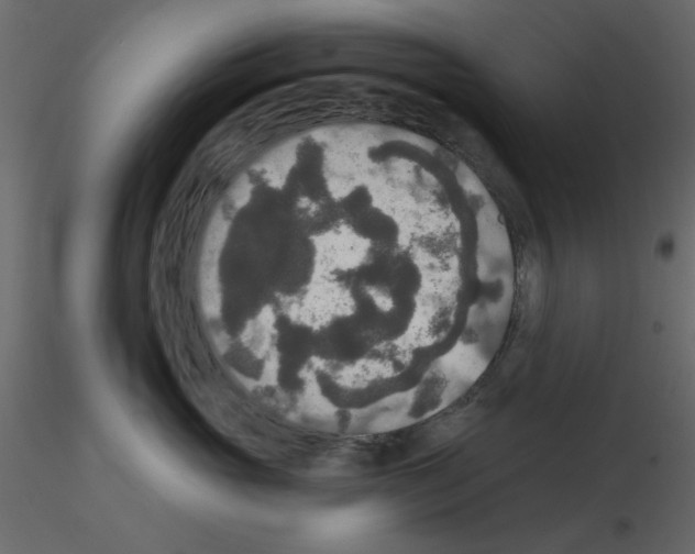 X0000115670765200912241419