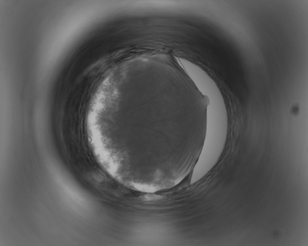 X0000115670766200912241419