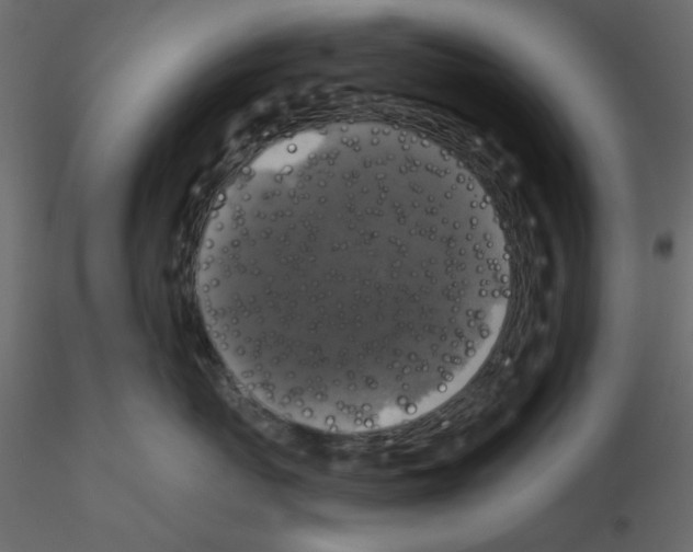 X0000115670767200912241419