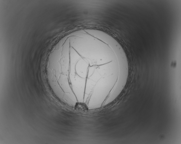 X0000115670769200912241419