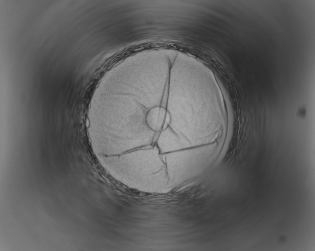 X0000115670773200912241419