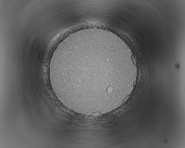 X0000115670776200912241419