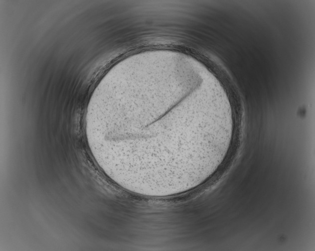 X0000115670777200912241419