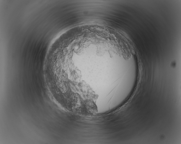 X0000115670780200912241419