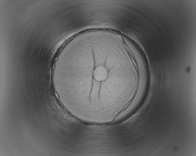 X0000115670781200912241419