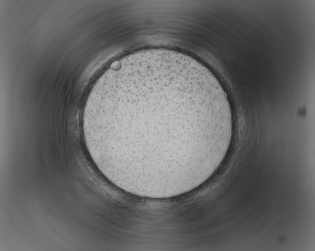 X0000115670782200912241419