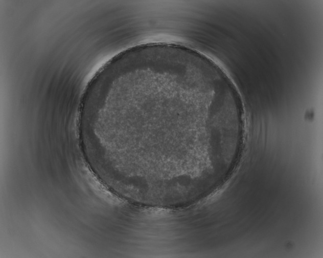 X0000115670783200912241419