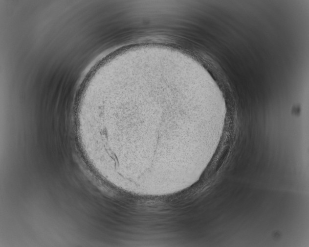 X0000115670784200912241419