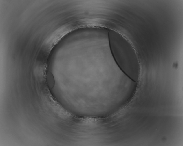 X0000115670785200912241419