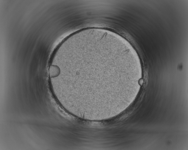 X0000115670787200912241419