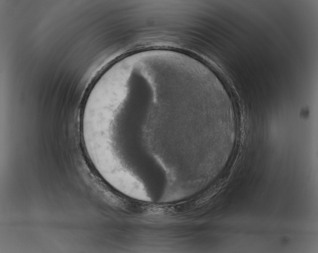 X0000115670790200912241419