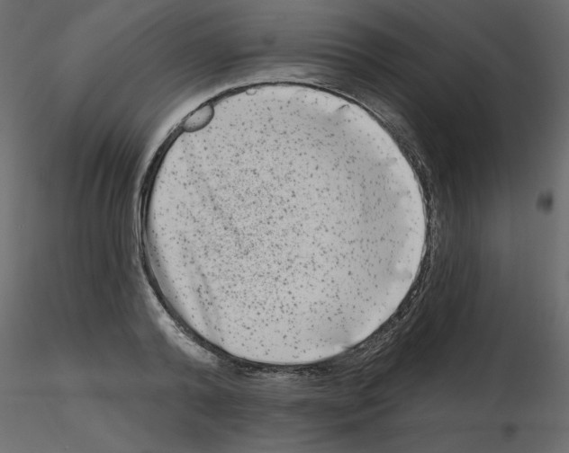 X0000115670792200912241419