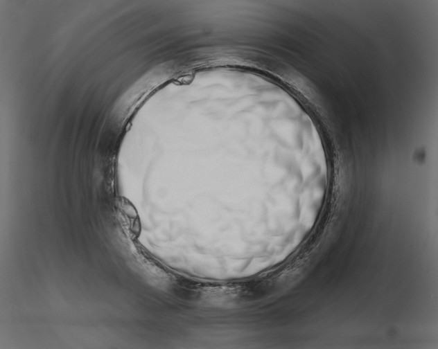 X0000115670793200912241419