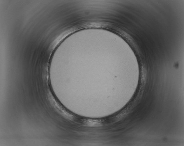 X0000115670794200912241418