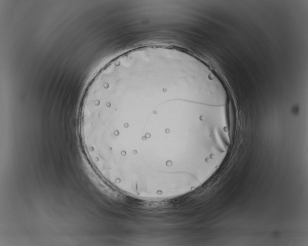 X0000115670795200912241418