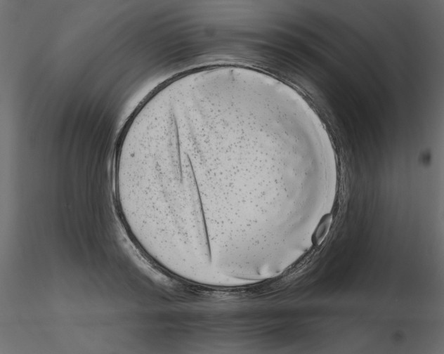 X0000115670796200912241418