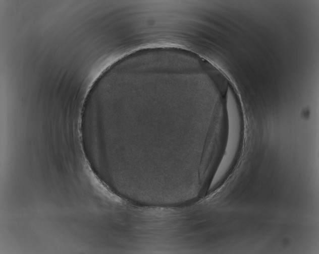 X0000115670797200912241418