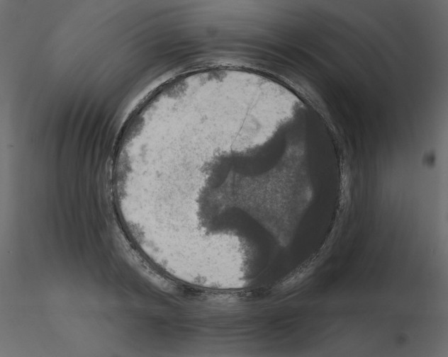 X0000115670798200912241418