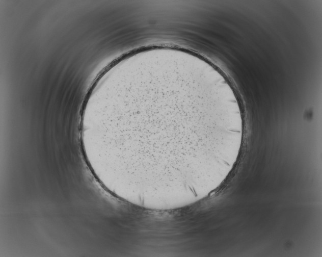 X0000115670799200912241418