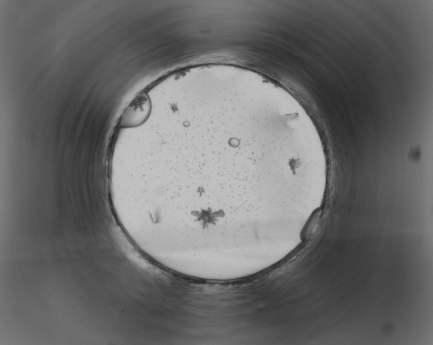 X0000115670800200912241418