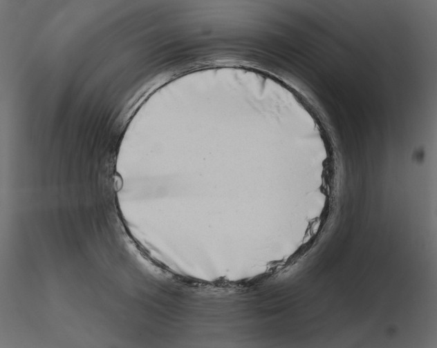 X0000115670801200912241418