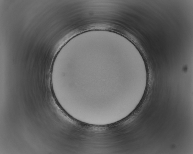 X0000115670802200912241418