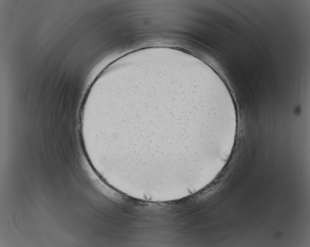 X0000115670803200912241418