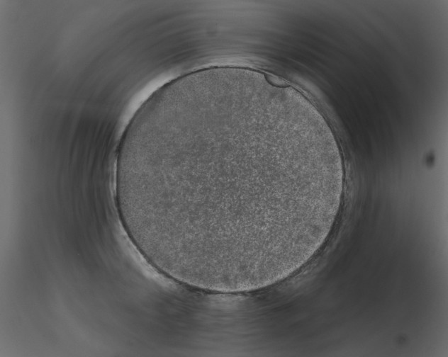 X0000115670804200912241418