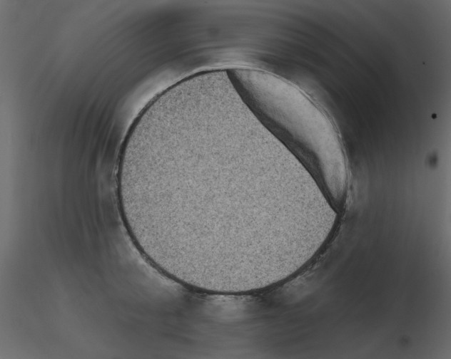 X0000115670805200912241418