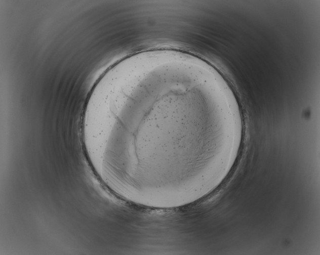 X0000115670806200912241418