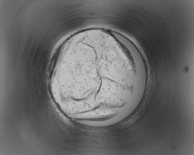 X0000115670807200912241418