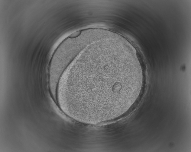 X0000115670808200912241418