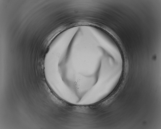 X0000115670809200912241418