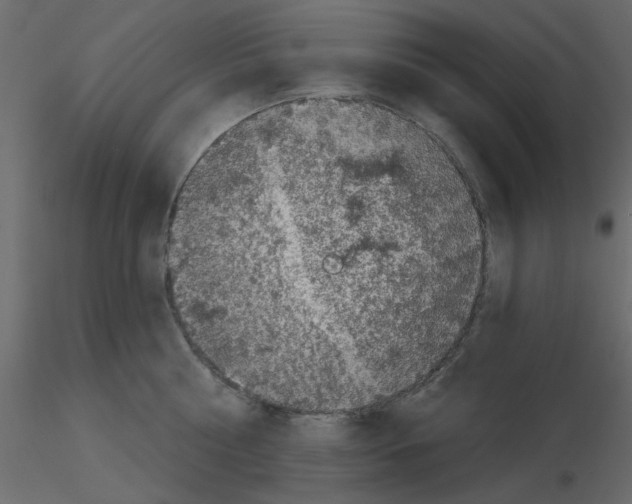 X0000115670810200912241418