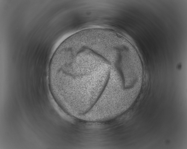 X0000115670811200912241418